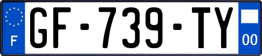 GF-739-TY