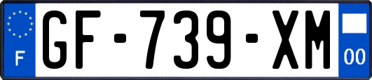 GF-739-XM