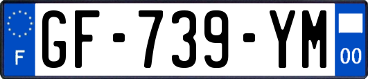 GF-739-YM
