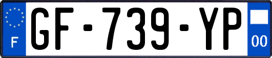 GF-739-YP