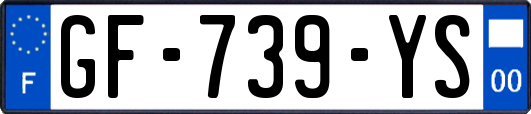 GF-739-YS