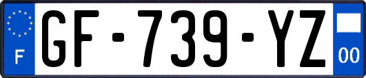 GF-739-YZ