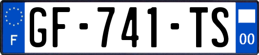 GF-741-TS