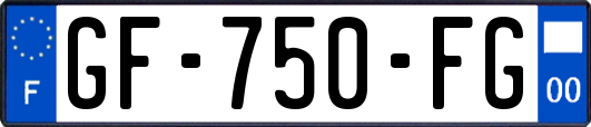 GF-750-FG