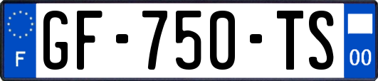 GF-750-TS