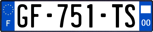 GF-751-TS