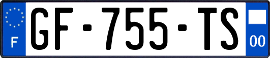 GF-755-TS