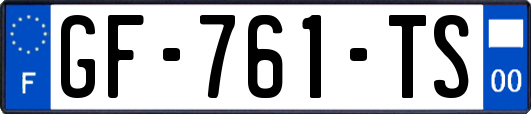 GF-761-TS