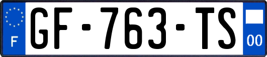 GF-763-TS