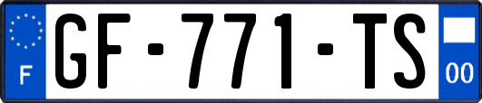 GF-771-TS