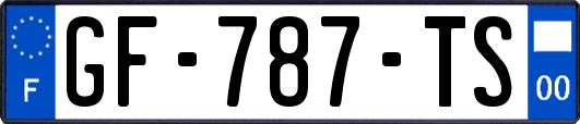 GF-787-TS