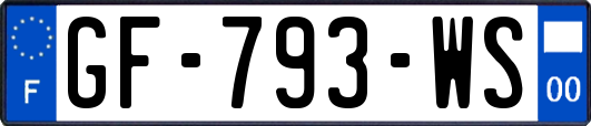 GF-793-WS