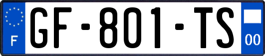 GF-801-TS