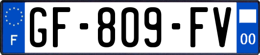 GF-809-FV