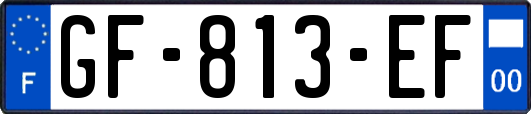 GF-813-EF