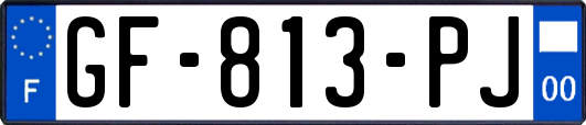 GF-813-PJ