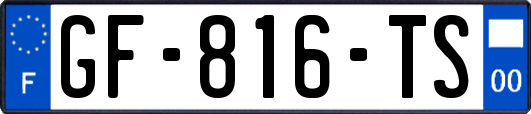 GF-816-TS
