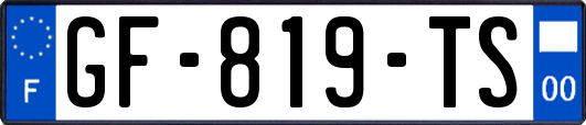 GF-819-TS