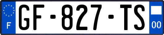 GF-827-TS