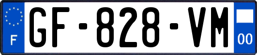 GF-828-VM
