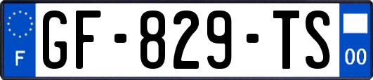 GF-829-TS