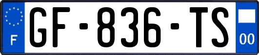GF-836-TS