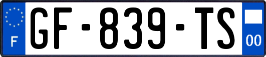 GF-839-TS