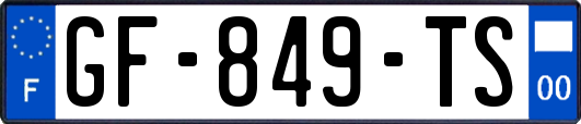 GF-849-TS