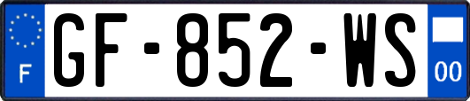 GF-852-WS