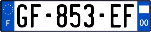 GF-853-EF