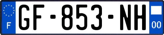 GF-853-NH