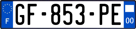 GF-853-PE