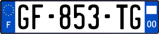GF-853-TG