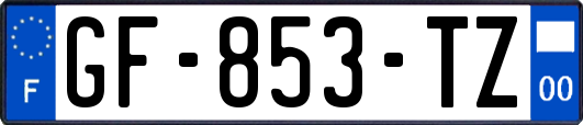 GF-853-TZ