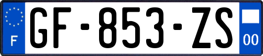 GF-853-ZS