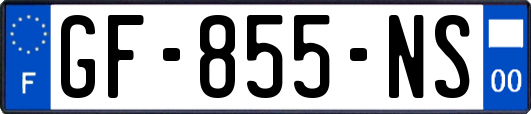 GF-855-NS