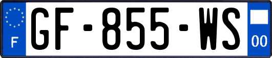 GF-855-WS