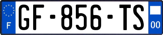 GF-856-TS