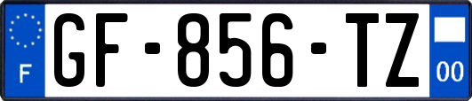 GF-856-TZ