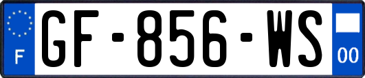 GF-856-WS