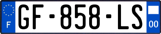 GF-858-LS