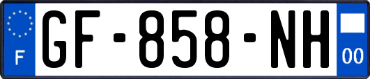 GF-858-NH