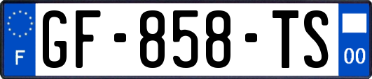 GF-858-TS