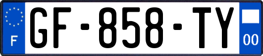 GF-858-TY