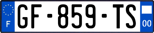 GF-859-TS
