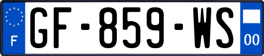 GF-859-WS