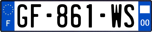GF-861-WS