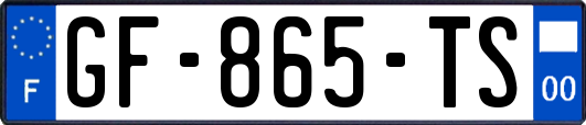 GF-865-TS