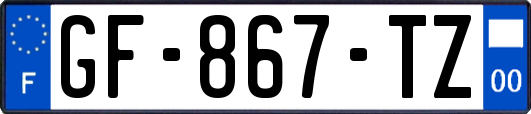 GF-867-TZ