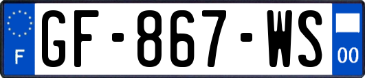 GF-867-WS